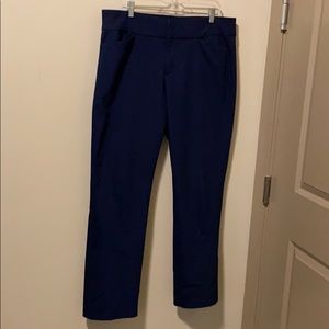 Liverpool Maille Bootcut Pant